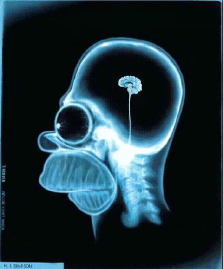 Je vous gure quelle est vrai cette image
